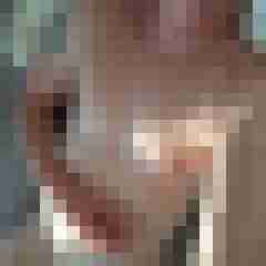 michael2904