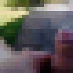 rene1080