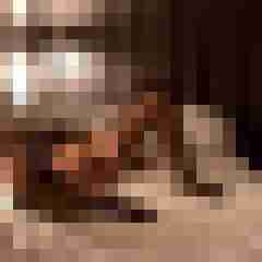 maxe_dwt