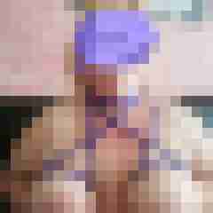 Paards