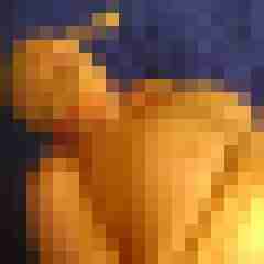 Letsy4u2c