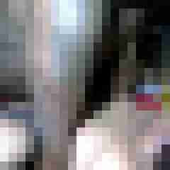 picturefreak