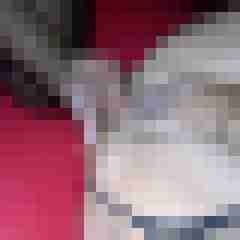 picturefreak