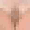 Rheinlandpaar
