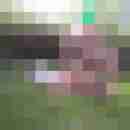 Gerd54