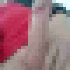 lexer1000