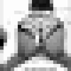 hornyxsar