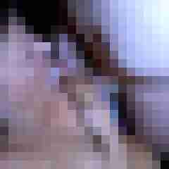 picturefreak