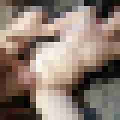 bipaarsuchtmwp