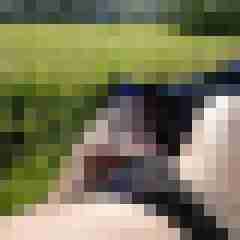 doline