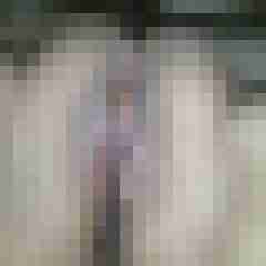 Taigercpl_7574