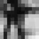 Phorus