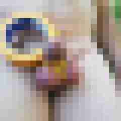 exib1