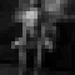 Phorus