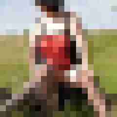Ingo55