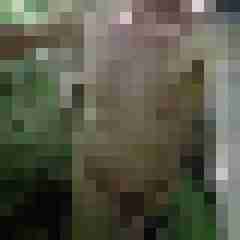 doline