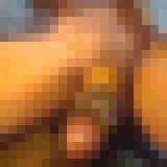 8 Bilder von McRonny1007