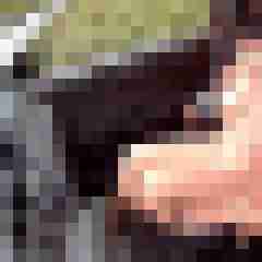 Letsy4u2c