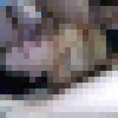 picturefreak