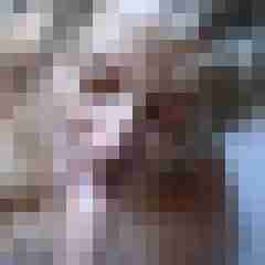 Letsy4u2c