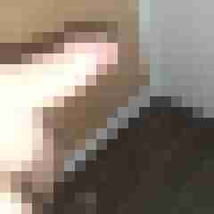 Kater1412