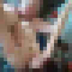 bipaarsuchtmwp