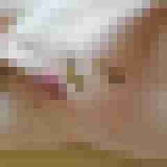 Bisexlover1