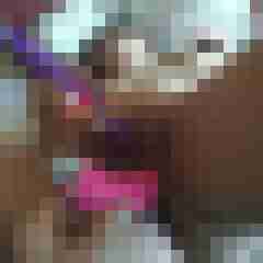gerrycn