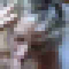 Letsy4u2c