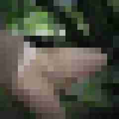 doline