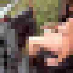 Letsy4u2c