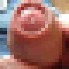 cock01