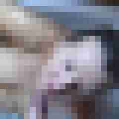 Letsy4u2c