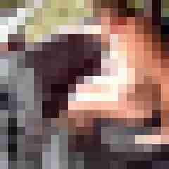Letsy4u2c