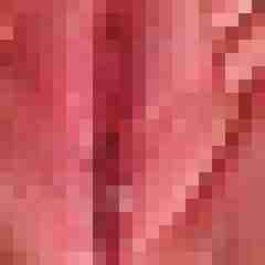 Creampieslut86