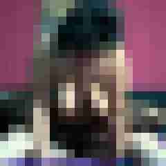 picturefreak