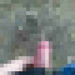 nsliebhaber68