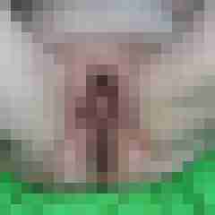 Pimpermusch