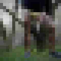 doline