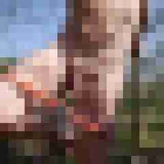 doline
