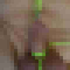 kinofreund