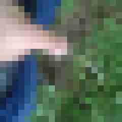Roban