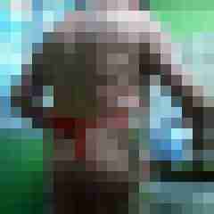 ShavedOlli