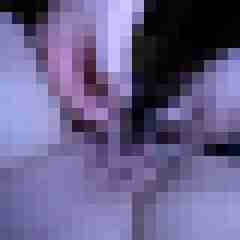picturefreak