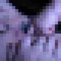 picturefreak