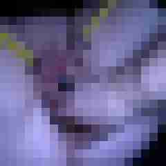 picturefreak