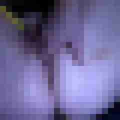 picturefreak