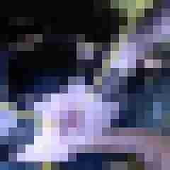picturefreak