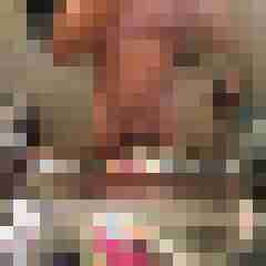 Charles07
