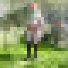 Letsy4u2c